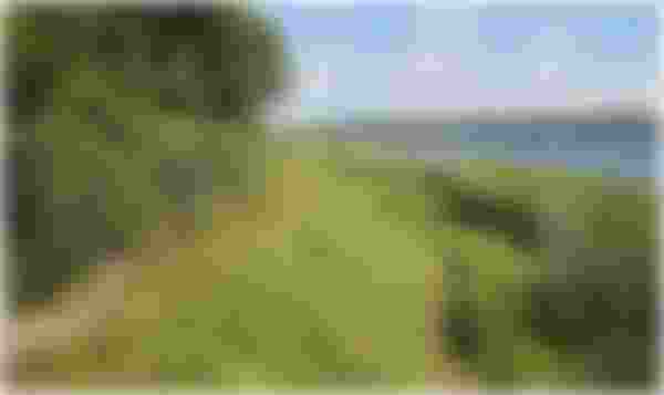 image alt text